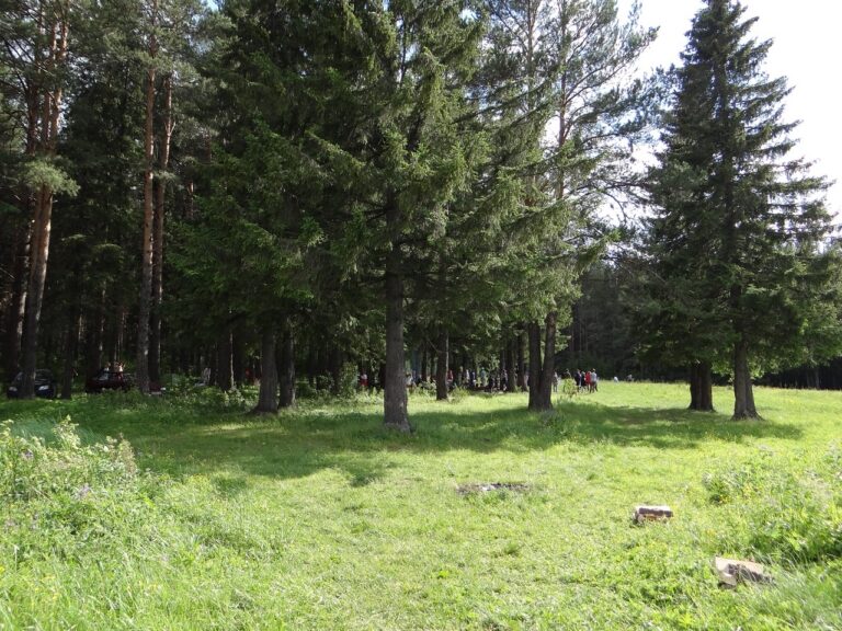 Купала 22.06.2019 — фото 20